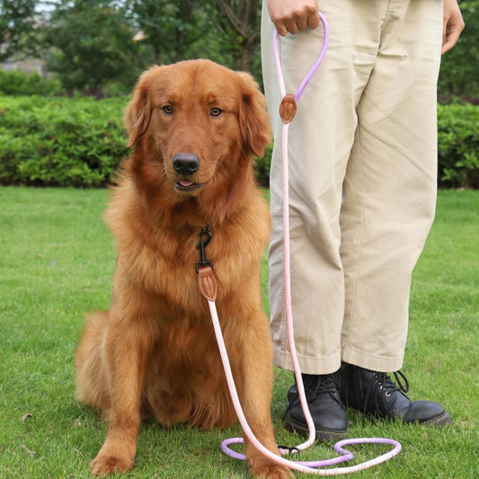 Outdoor Multi-Functional round Rope Pet Dog Handle Dog Leash